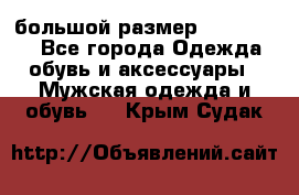 большой размер XX L  (2x) - Все города Одежда, обувь и аксессуары » Мужская одежда и обувь   . Крым,Судак